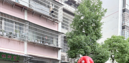 国网大英县供电公司：安全宣讲全覆盖 守护民生零距离