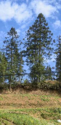 从“屙屎梁”到“阿石梁”：四川地名“整容”背后的文明实践与治理温度