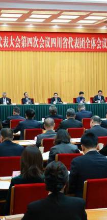 四川代表团举行全体会议 讨论通过代表团全团建议 王晓晖主持 施小琳出席