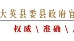 荣昌卤鹅的风，原来早就吹到了大英→