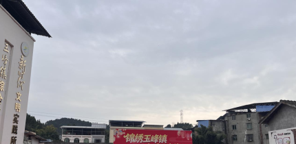 载歌载舞庆新春 游园泼墨送祝福 ——玉峰镇新春系列活动精彩纷呈