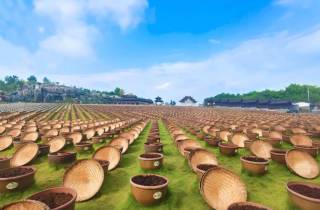 10万口酱缸旁，一个泸州“倔老头”的43年守候