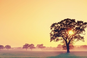 风光摄影师们将世界的美丽定格为