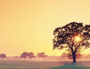 风光摄影师们将世界的美丽定格为