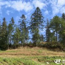 从“屙屎梁”到“阿石梁”：四川地名“整容”背后的文明实践与治理温度