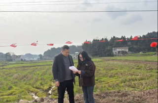 走村入户传政策 摸排资产促流转