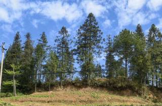 从“屙屎梁”到“阿石梁”：四川地名“整容”背后的文明实践与治理温度