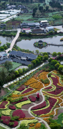 绿山微湖360全景