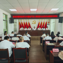 卓筒井镇专题传达学习大英县第七次党代会精神