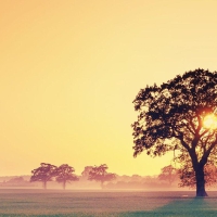 风光摄影师们将世界的美丽定格为