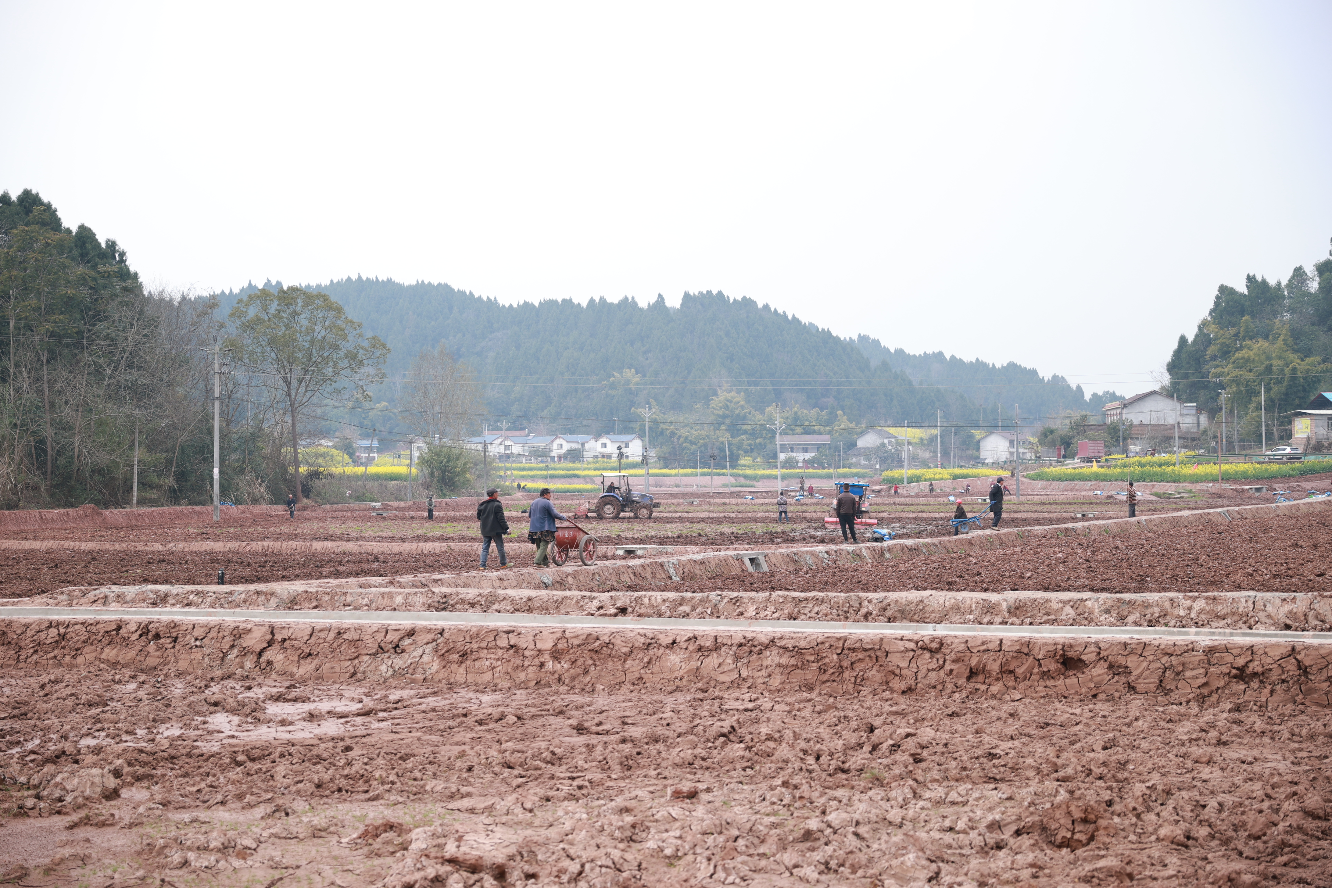 玉峰镇肖家沟村高标准农田推进土壤改良 (2).JPG