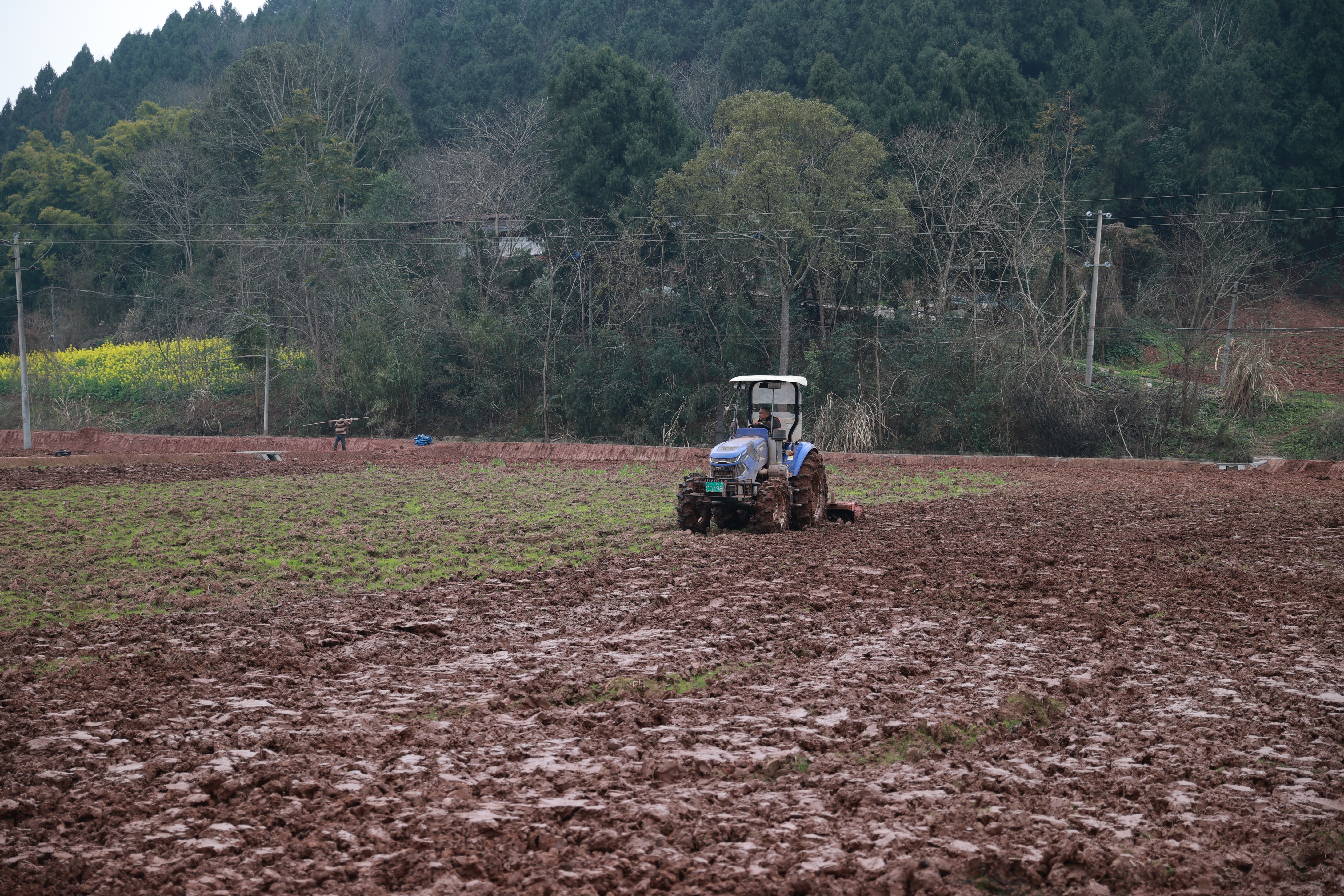 玉峰镇肖家沟村高标准农田推进土壤改良 (10).JPG