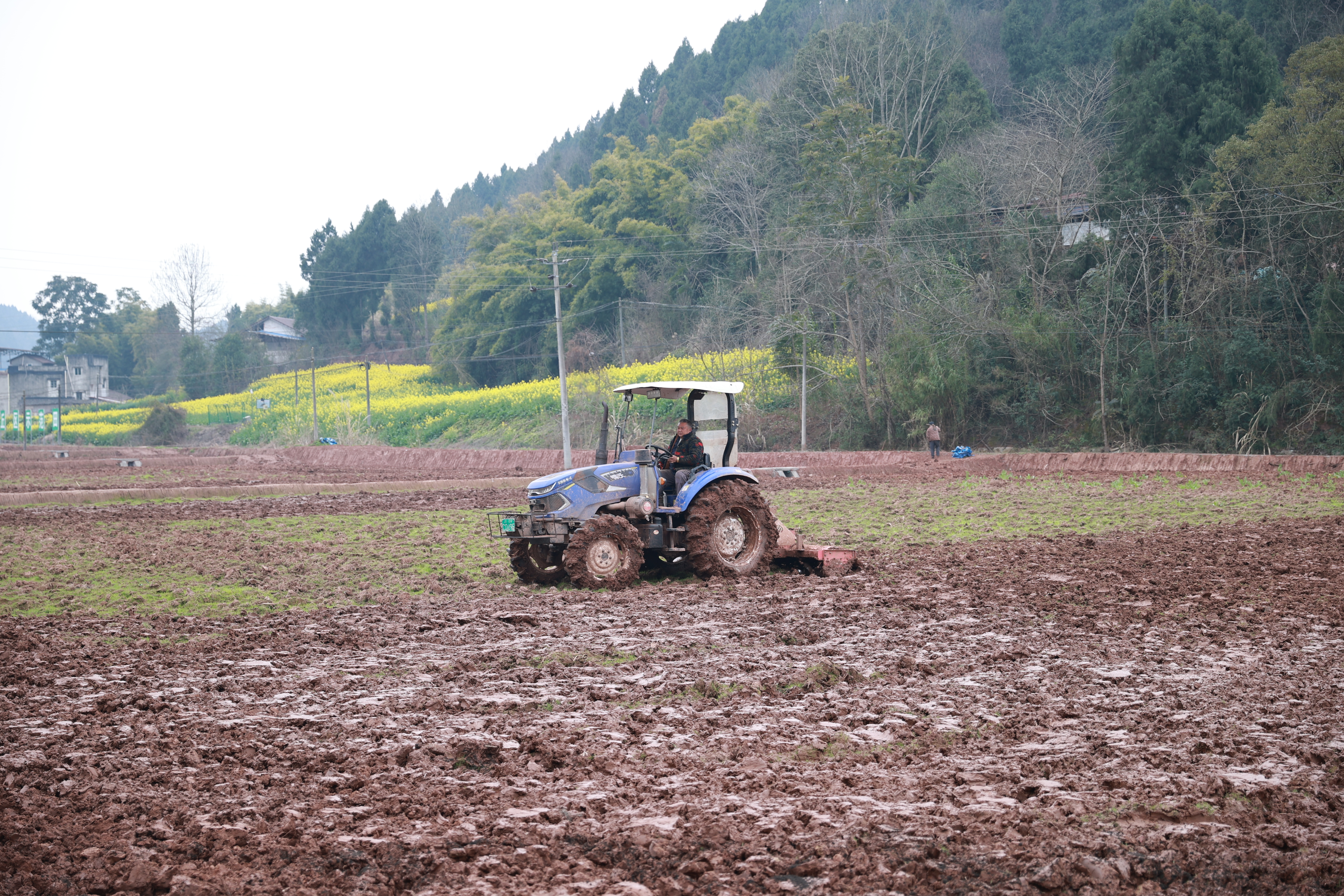玉峰镇肖家沟村高标准农田推进土壤改良 (13).JPG