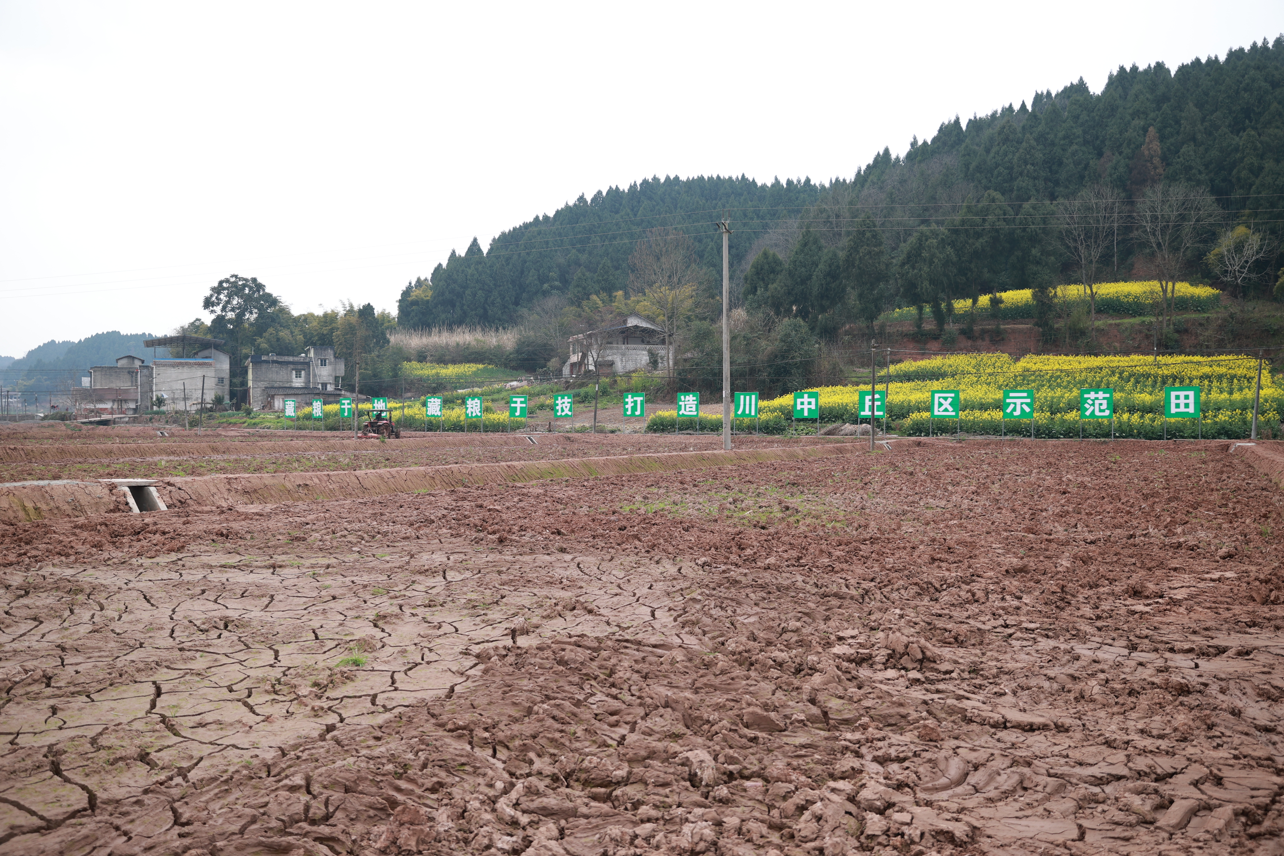 玉峰镇肖家沟村高标准农田推进土壤改良 (18).JPG