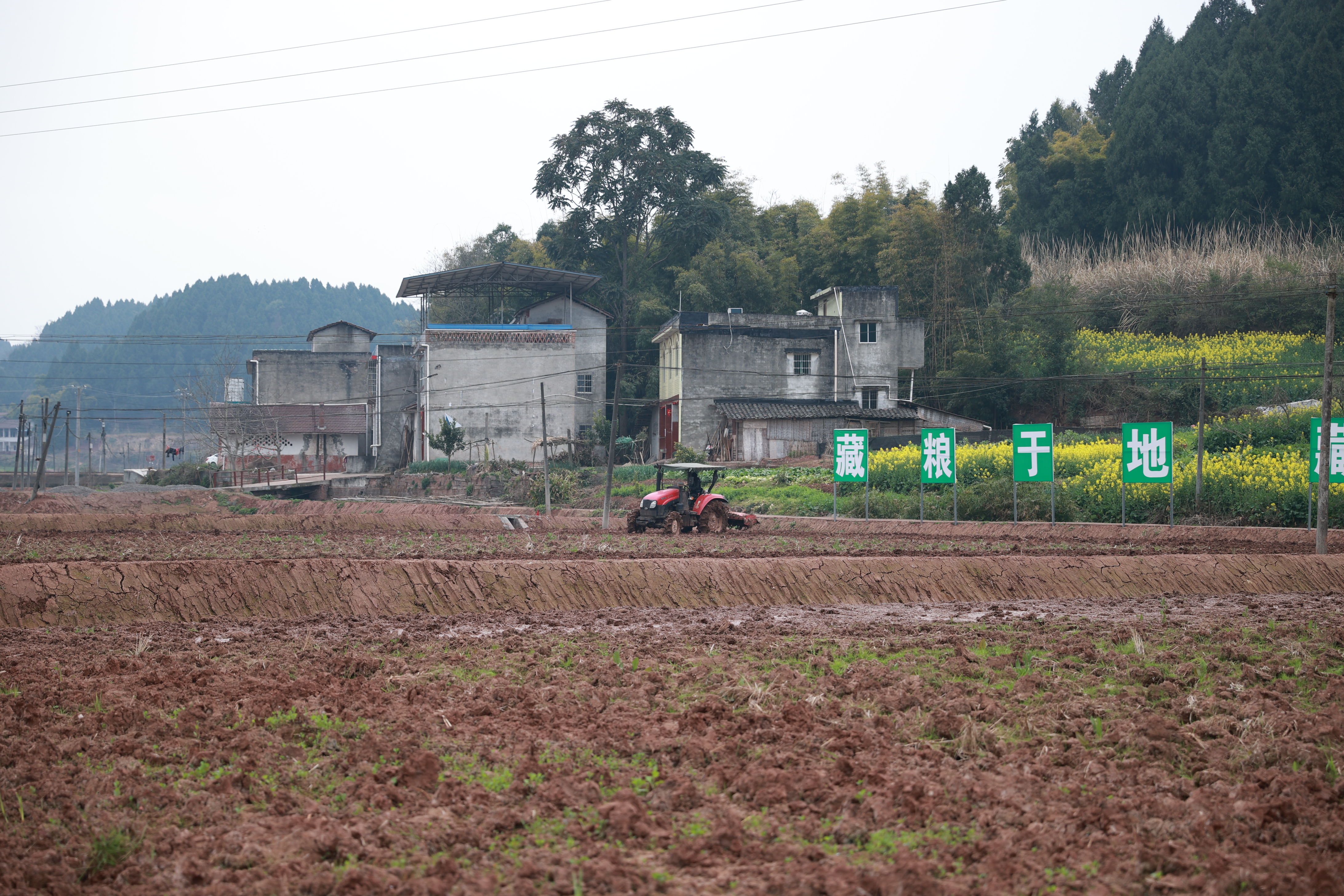 玉峰镇肖家沟村高标准农田推进土壤改良 (26).JPG