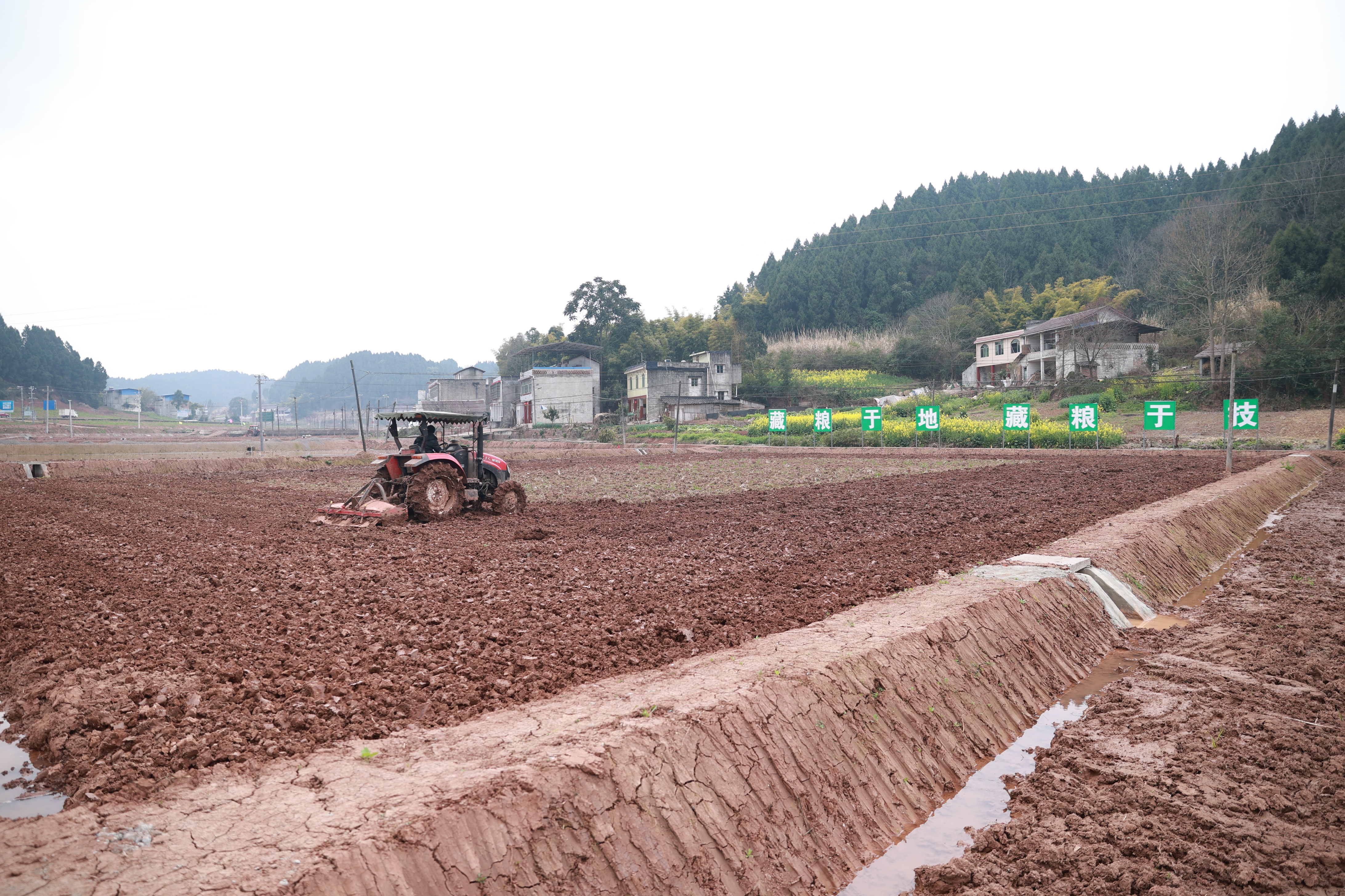 玉峰镇肖家沟村高标准农田推进土壤改良 (54).JPG