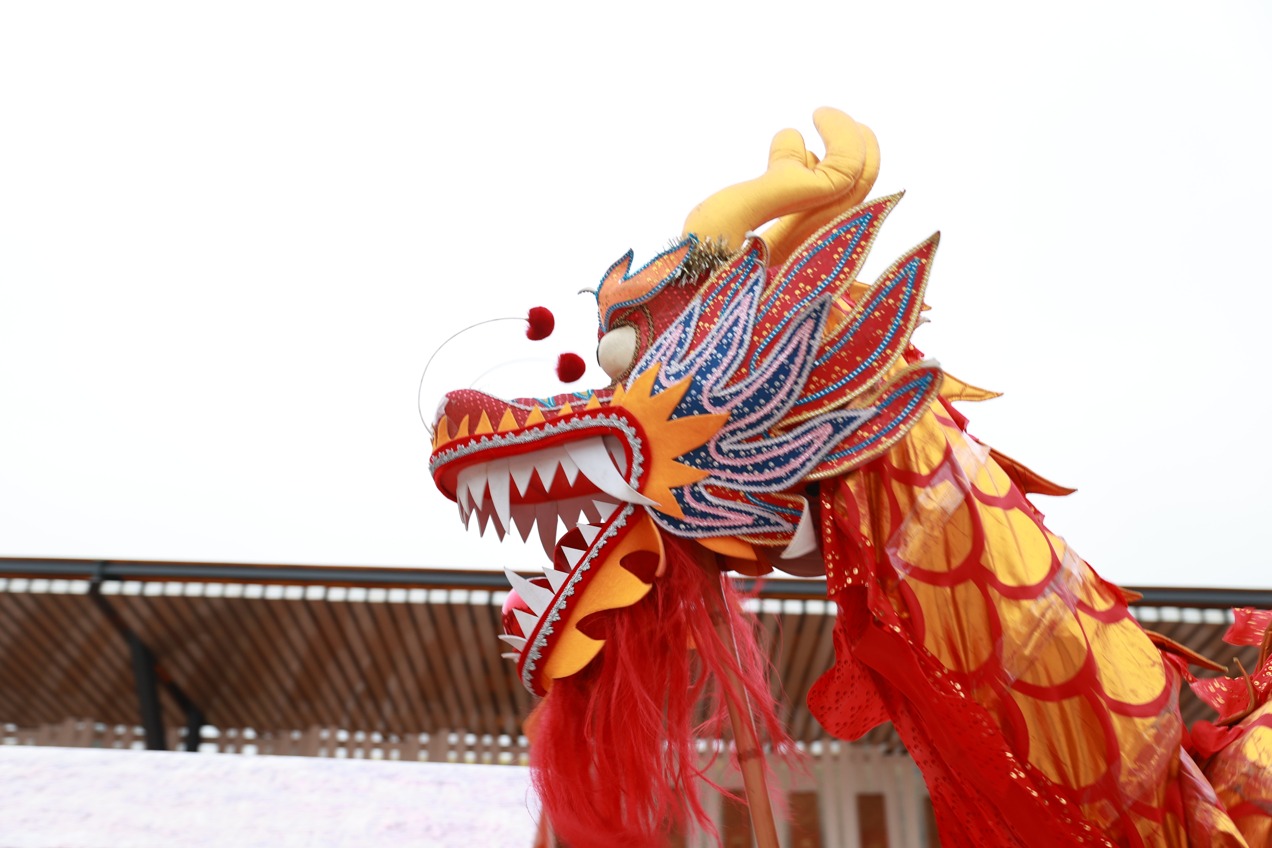 A89I2940 - 副本.JPG