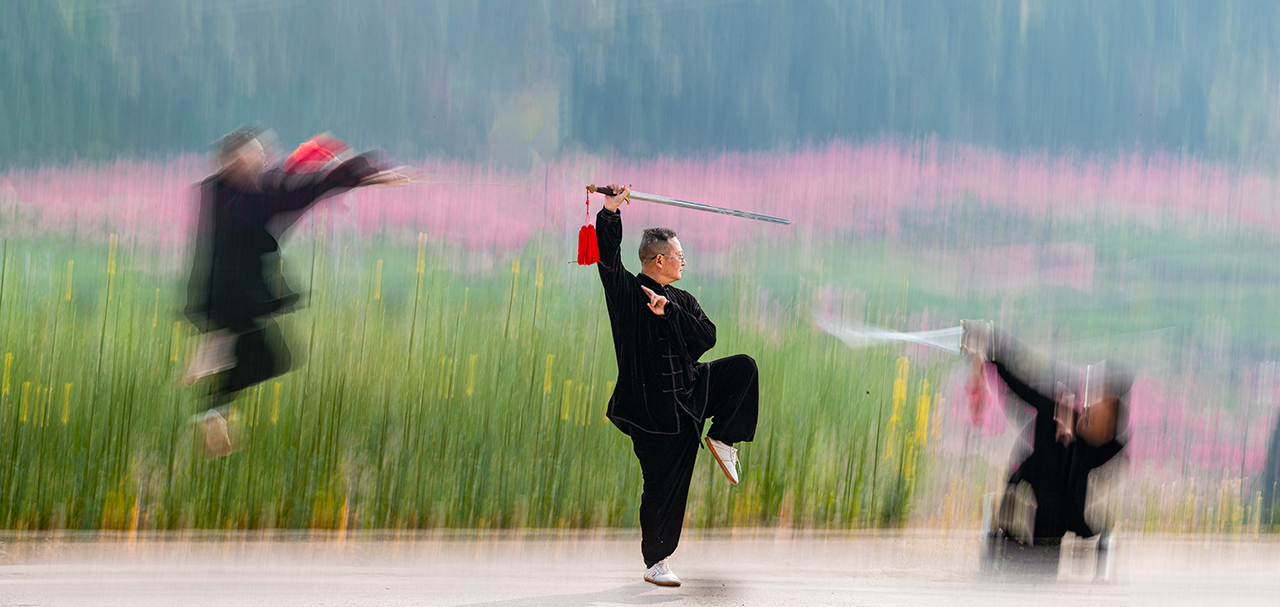 web《春意太极》 张进13980186994.jpg