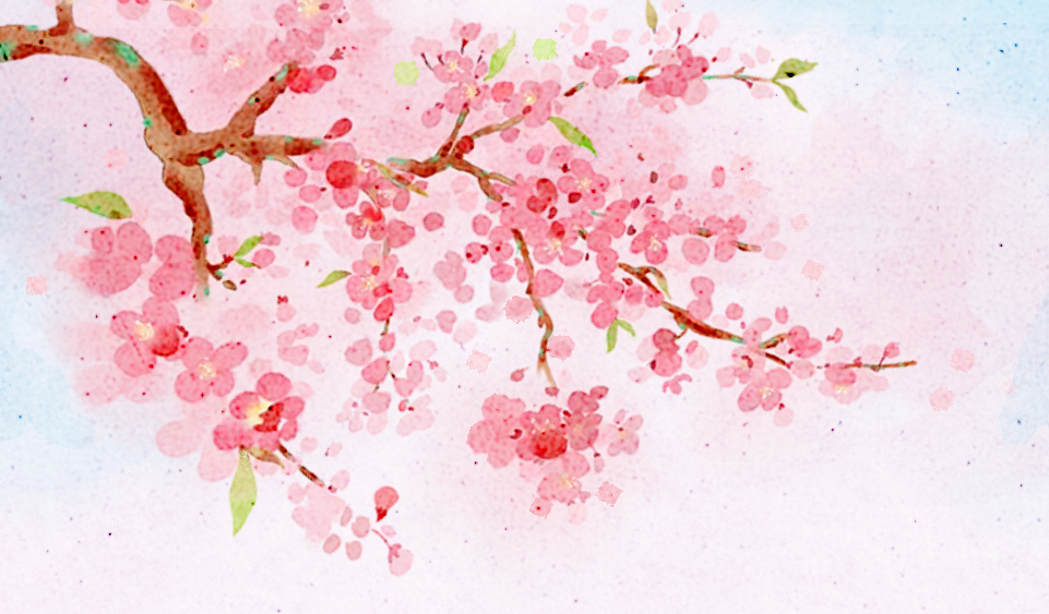 155340jcc0wrra9sbwca6d.png