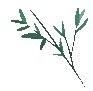 094346q4c4yy0cfhwjccwj.gif