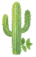 093231pebqdweexi5eekri.png