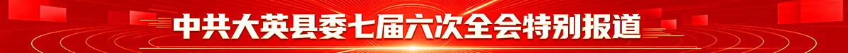中共大英县委七届六次全会特别报道